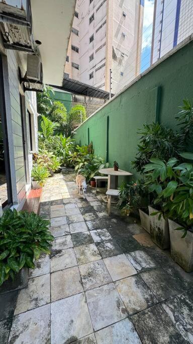 Jardim Iracema Daire Fortaleza Dış mekan fotoğraf