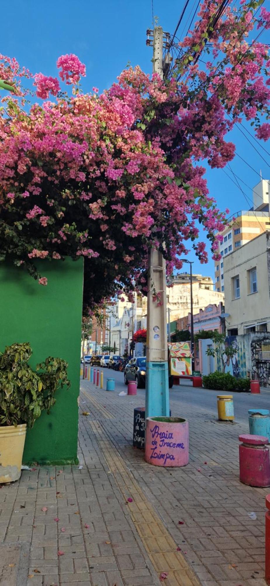 Jardim Iracema Daire Fortaleza Dış mekan fotoğraf