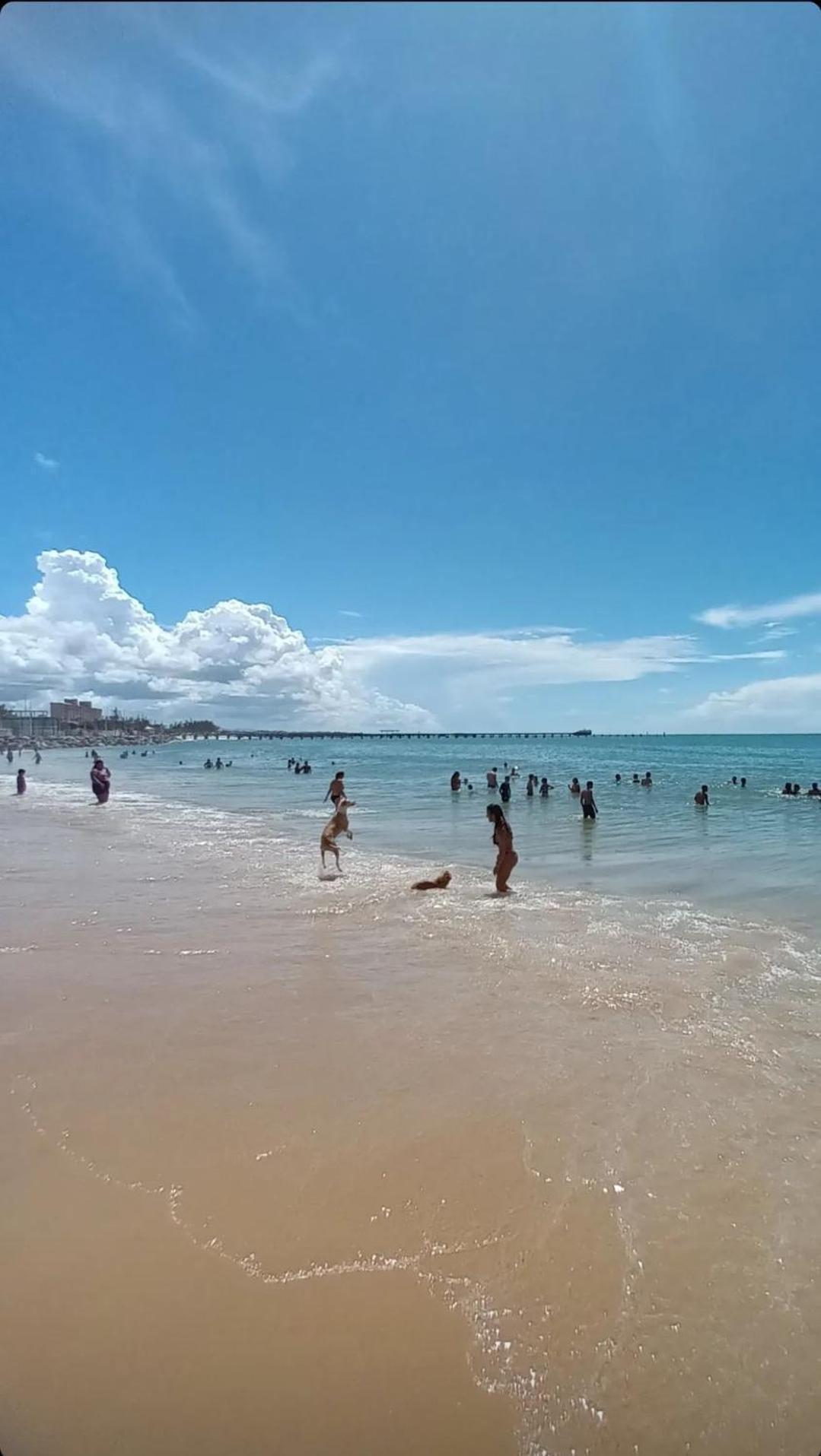 Jardim Iracema Daire Fortaleza Dış mekan fotoğraf