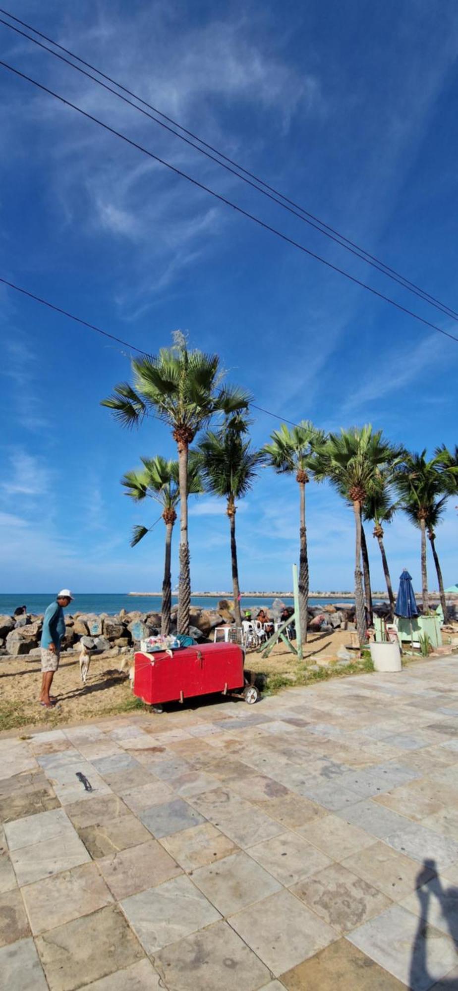 Jardim Iracema Daire Fortaleza Dış mekan fotoğraf