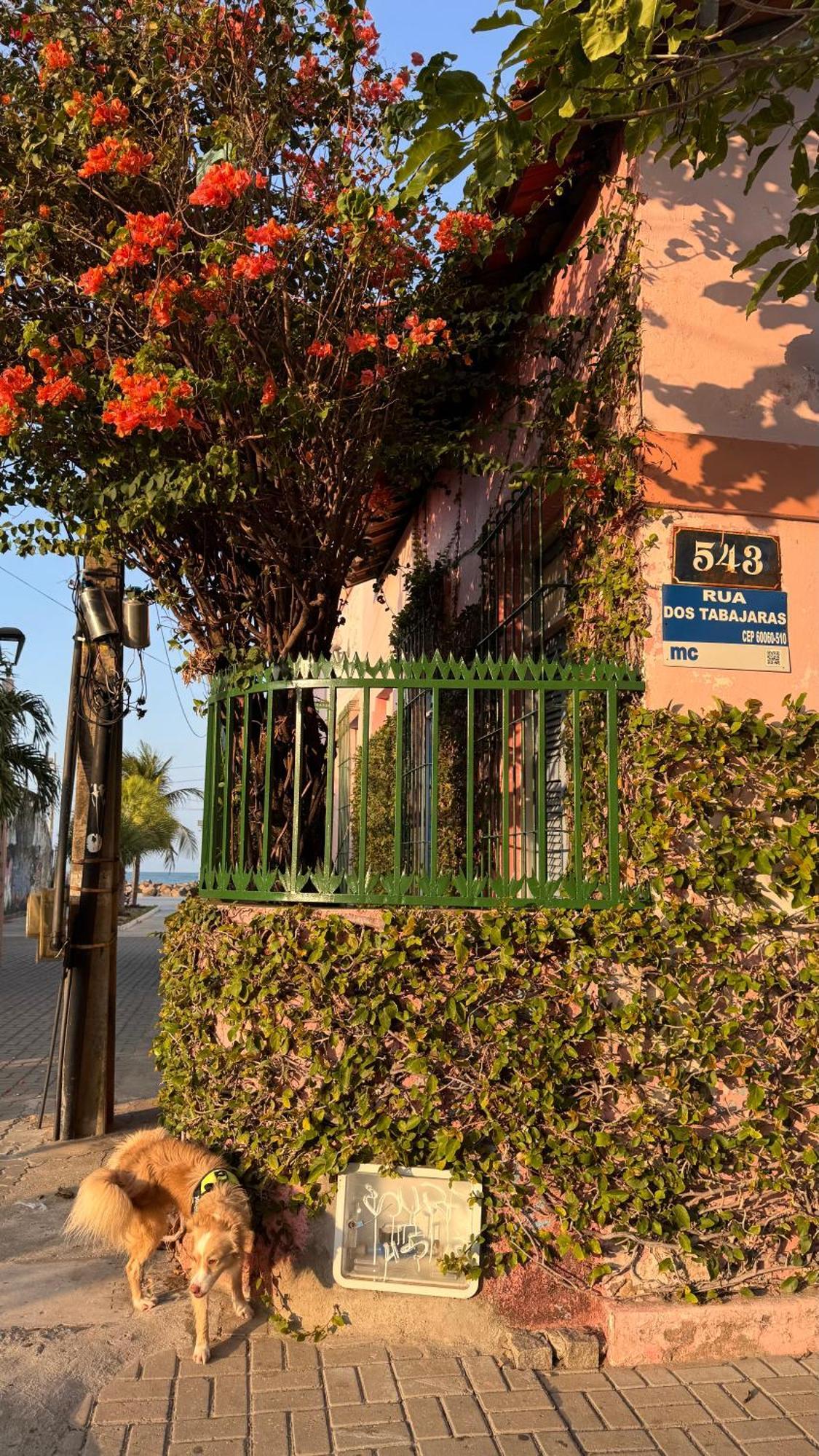 Jardim Iracema Daire Fortaleza Dış mekan fotoğraf